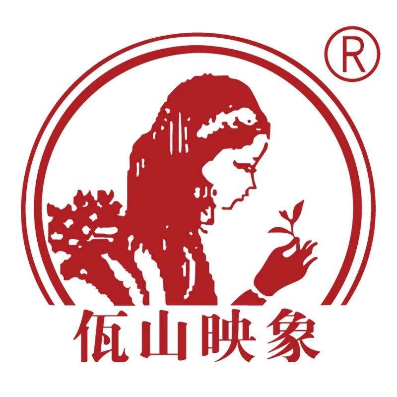 佤山映象品牌标识