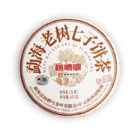 2023 勐海老树 特制青(生茶)茶品图