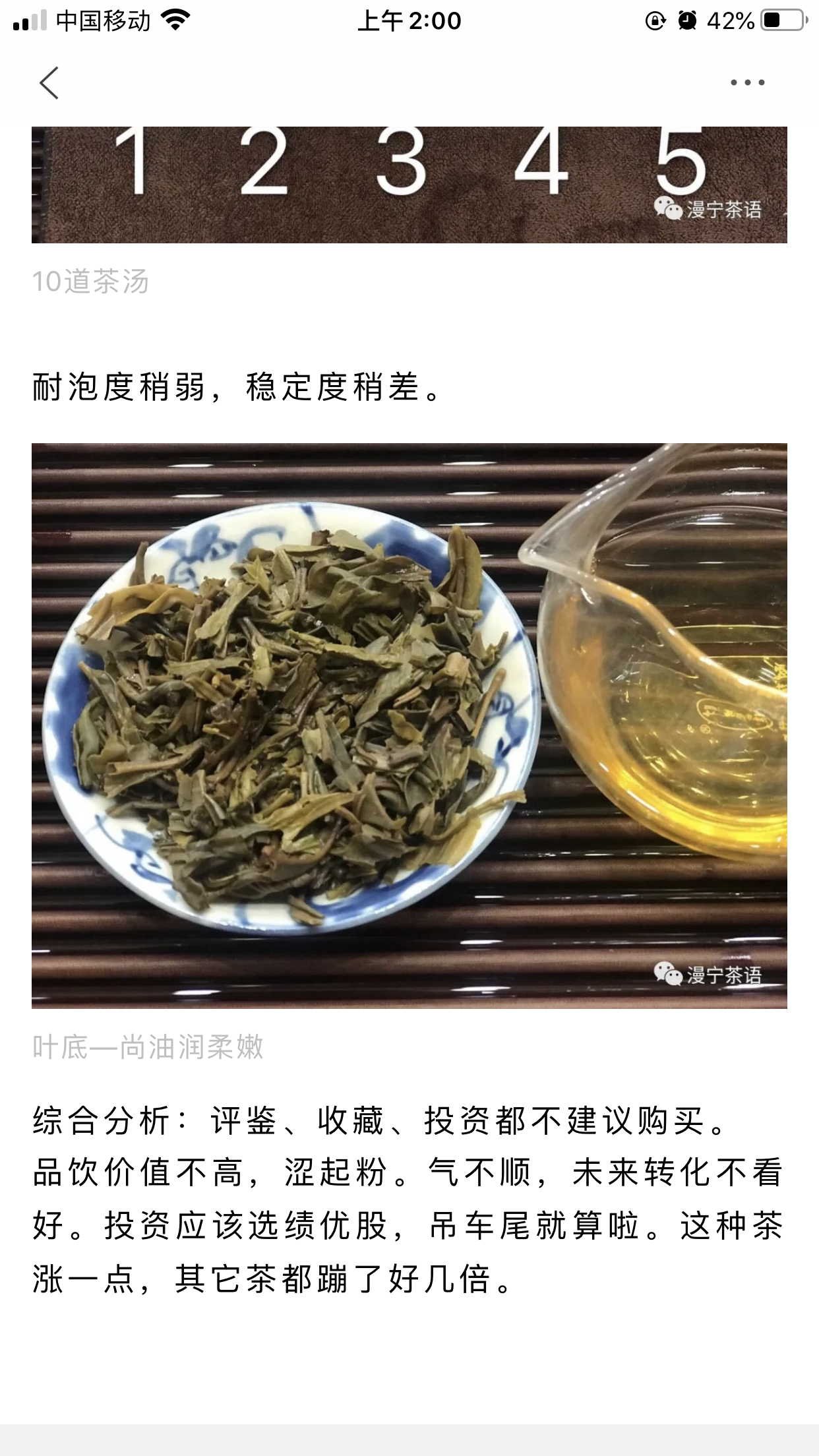 1701 一团春意 茶品分析配图2