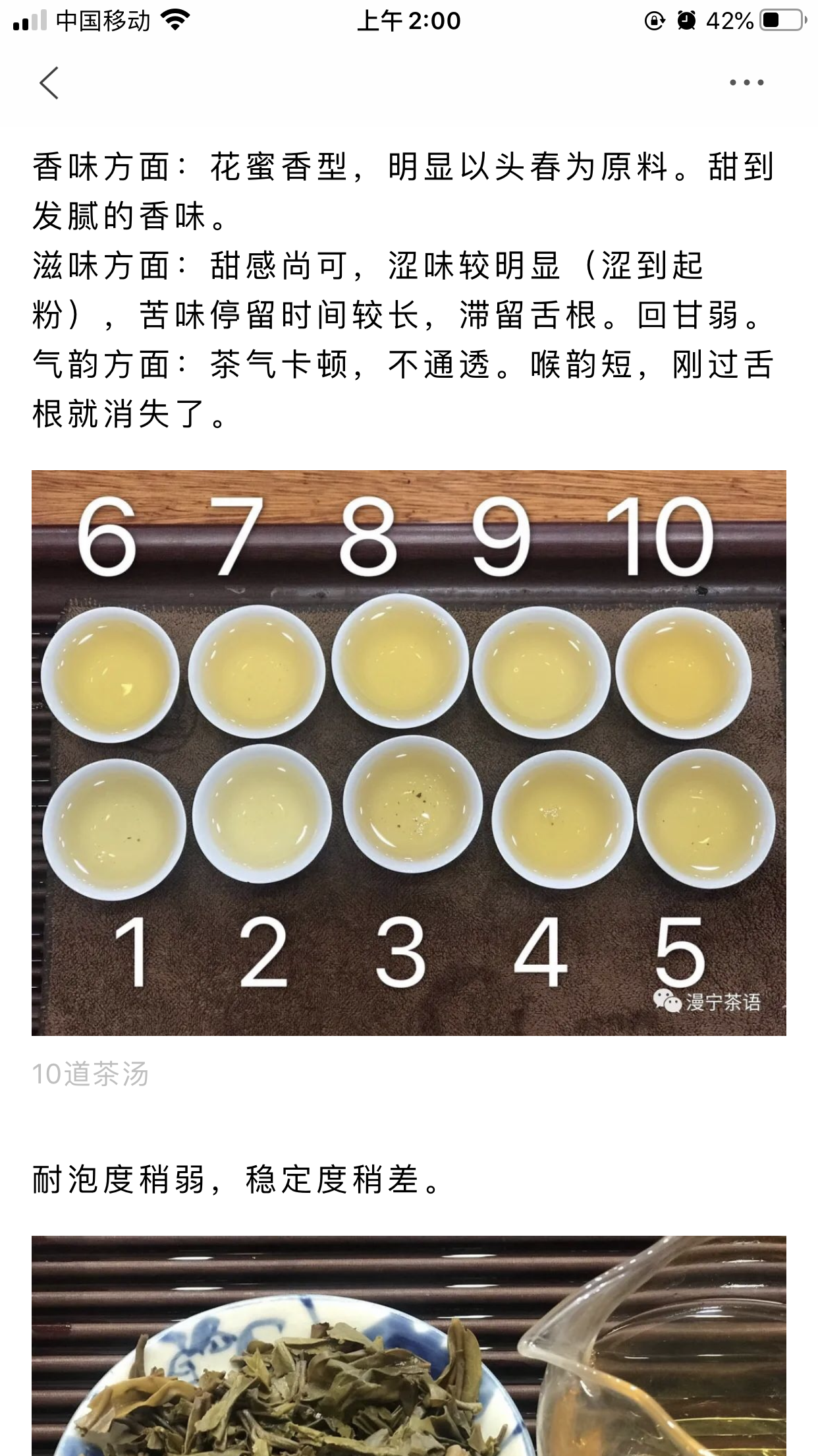 1701 一团春意 茶品分析配图4