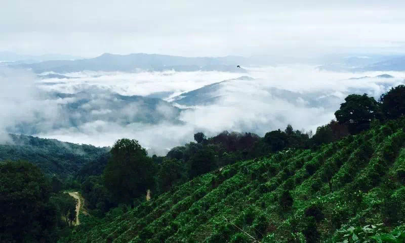 白驹过隙配图1