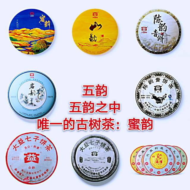 韵系列唯一古树茶—蜜韵配图4