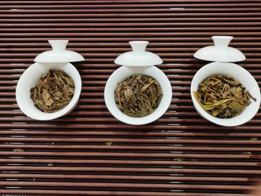 静静品茶配图1