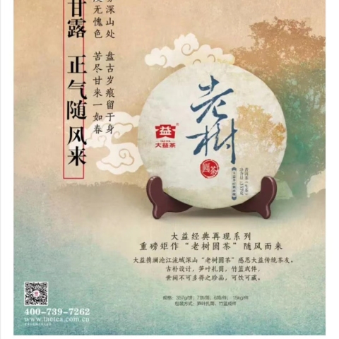 1601老树圆茶—低估的好茶!配图2