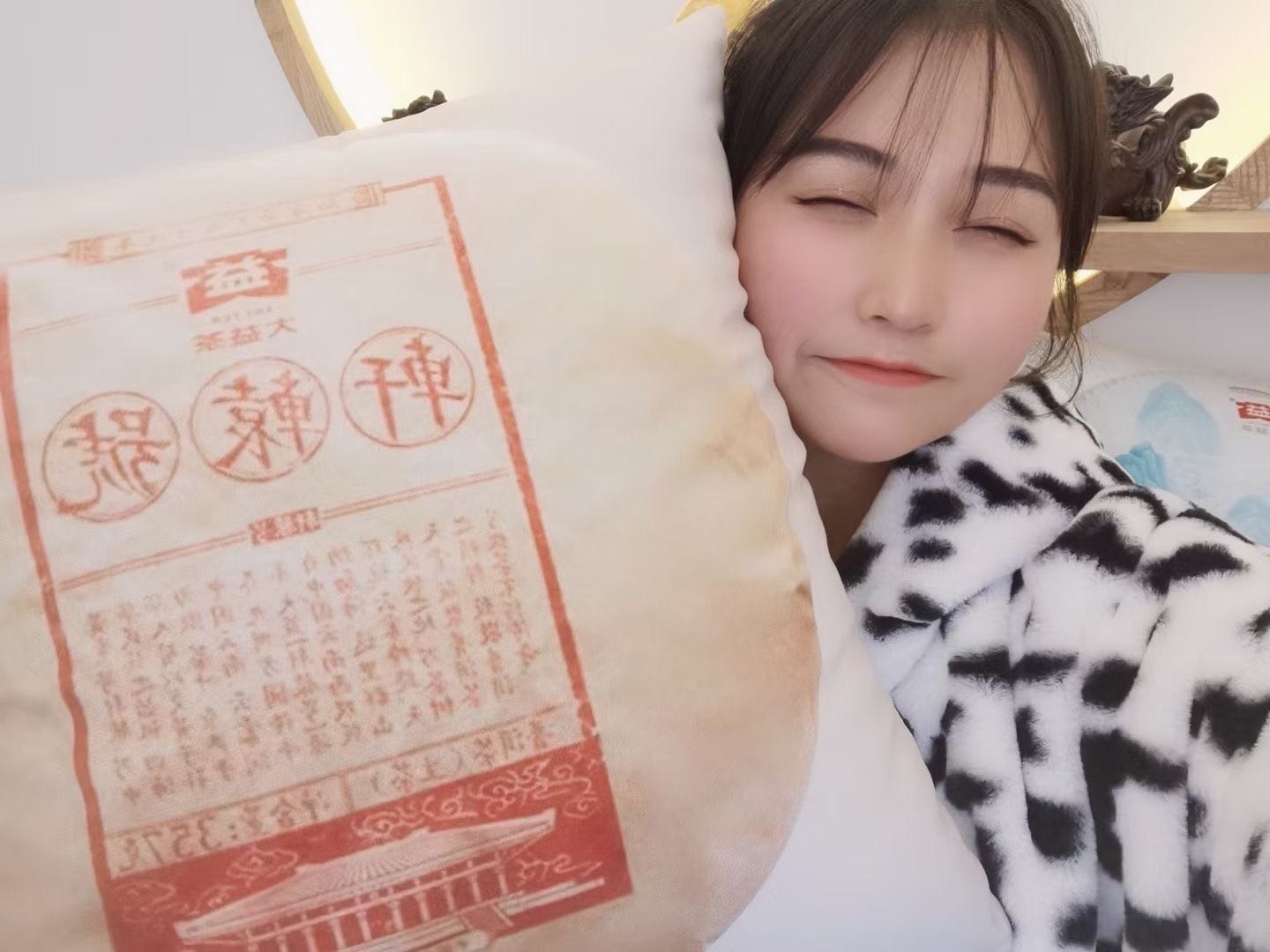 大益同款抱枕配图5