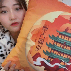 大益同款抱枕配图6