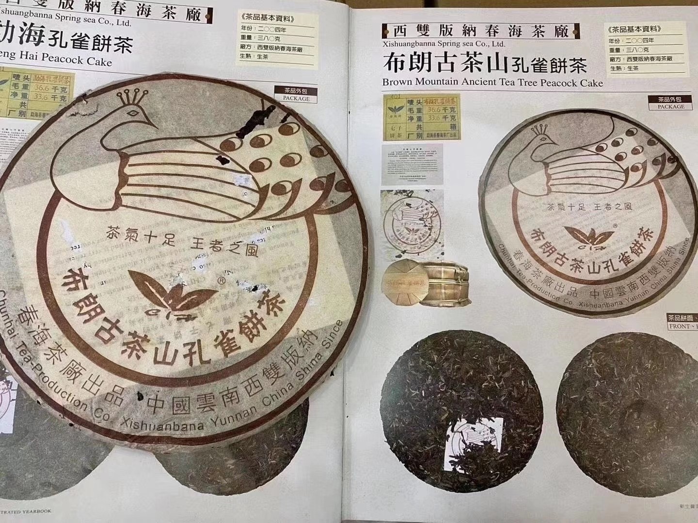 春海布朗孔雀配图1