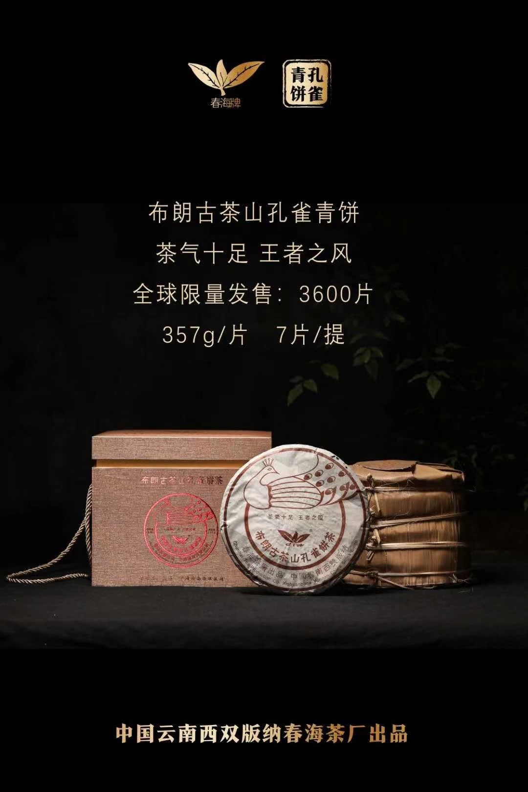 春海布朗孔雀配图2