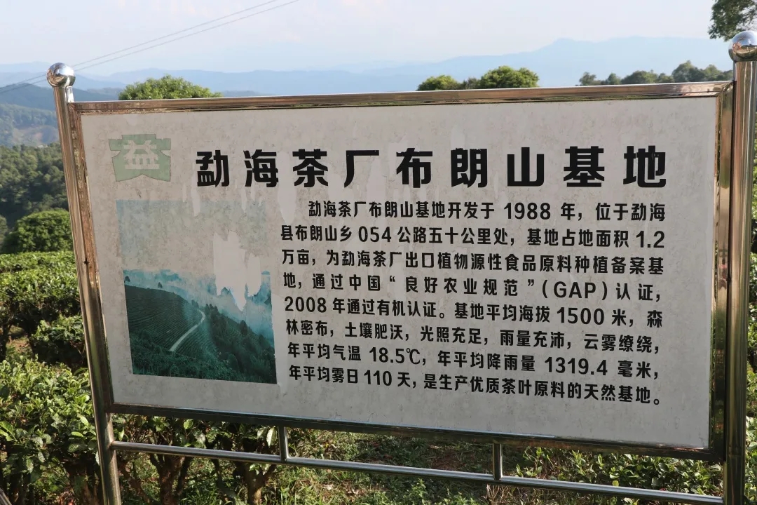 确实有人慌了,周末十万见!配图3