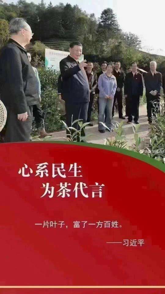 转之吴总的一句话配图1