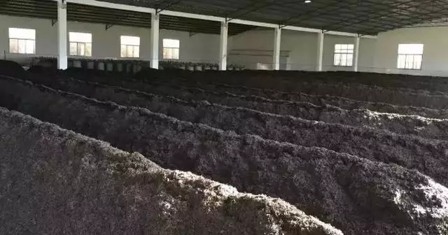 老曼峨的苦,与茶多酚有什么关系?配图1