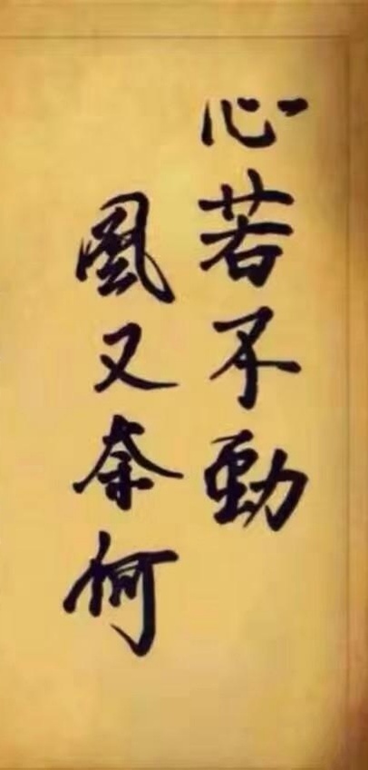 茶市,即将飘红配图1
