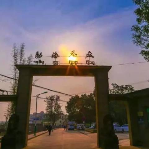 2021真可以成为大益茶的文化元年配图1