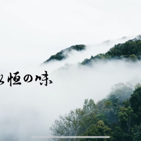 永恒之味,今年会不会正式上市呢配图2