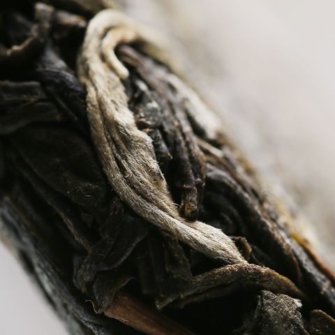 普洱生茶银毫 VS 熟茶金毫,谁比谁高贵?配图2