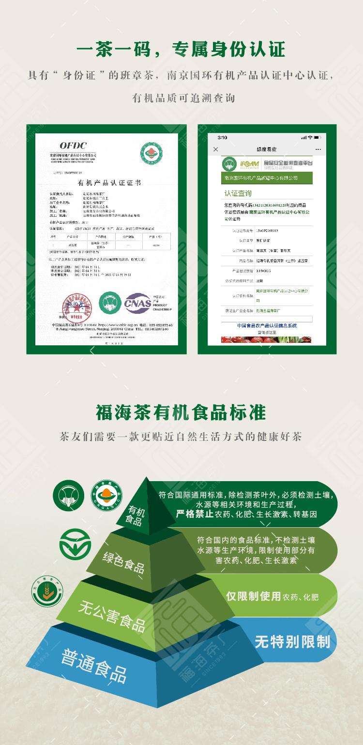 千元内的真班章——2021福海班章有机茶配图6