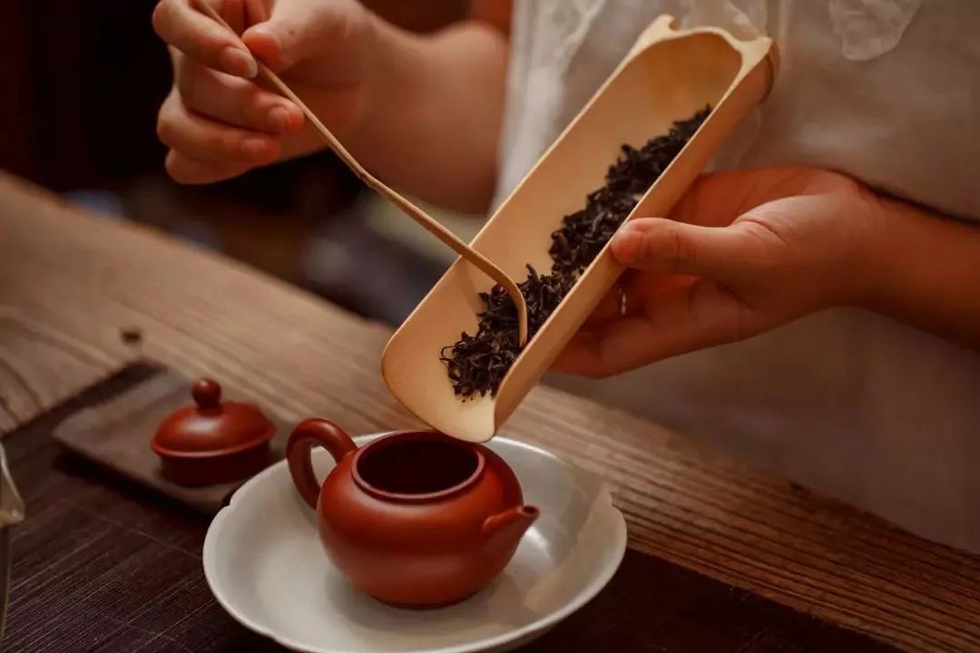如何正确冲泡新老生普、新老熟普茶?配图1