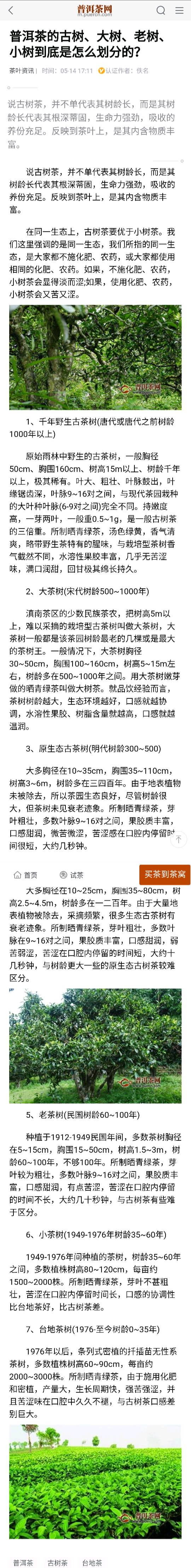 大树茶也是顶级用料配图4