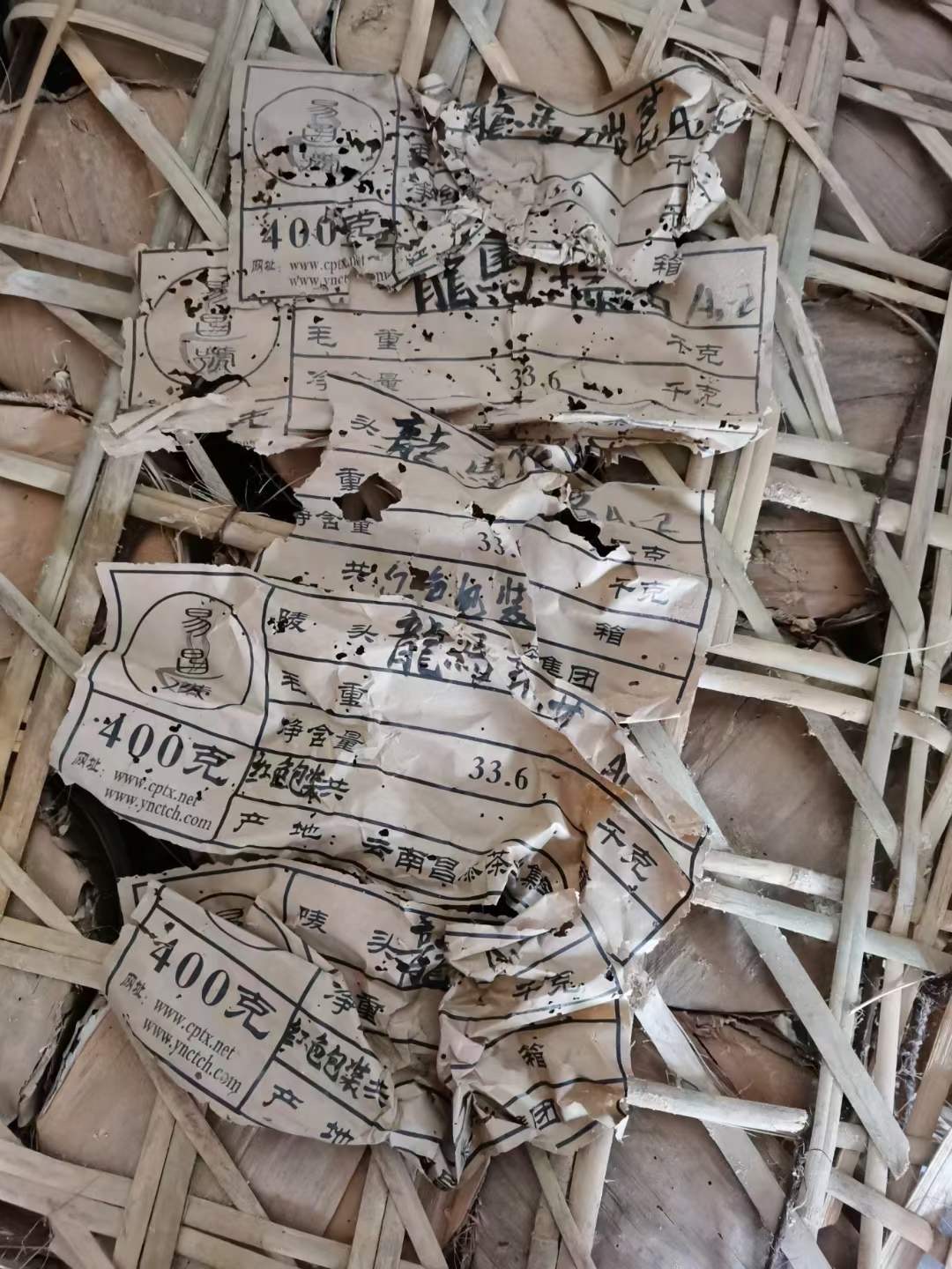 龙马瑞茗配图8