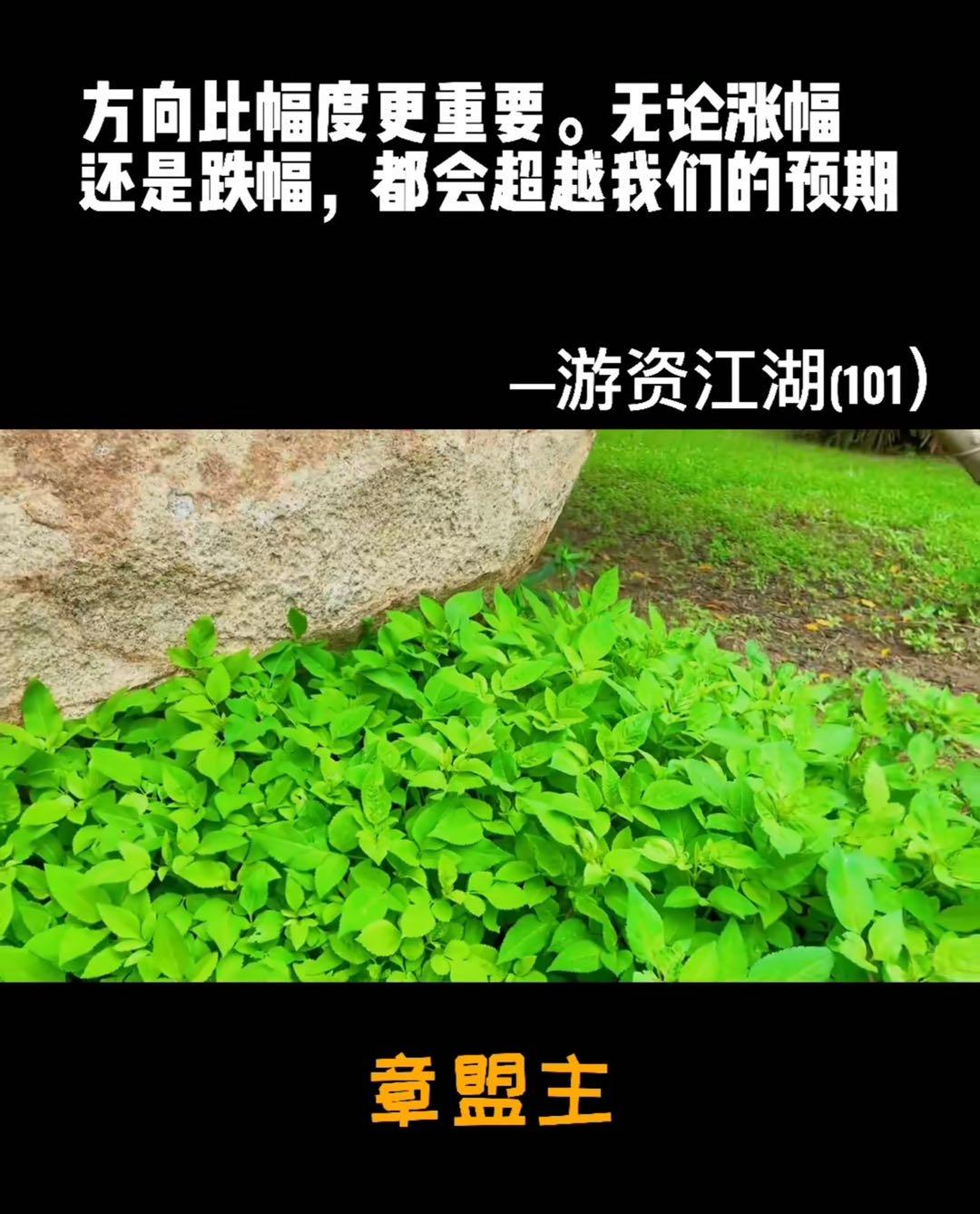 年度底部已探明,看多四季度配图1