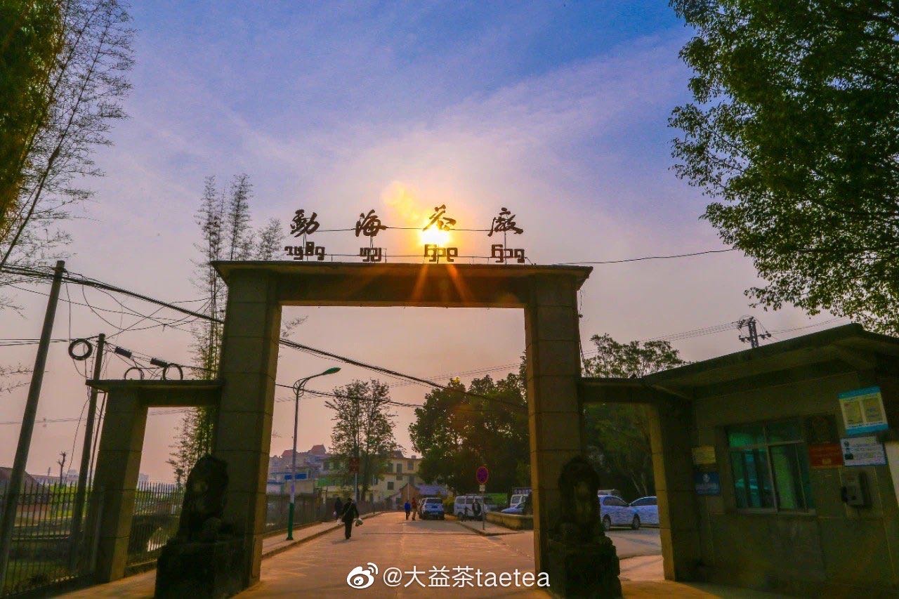 新茶全部再跌20—30%,年前把杠杆都干掉!配图1