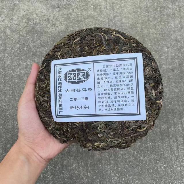 冰岛古树茶配图3