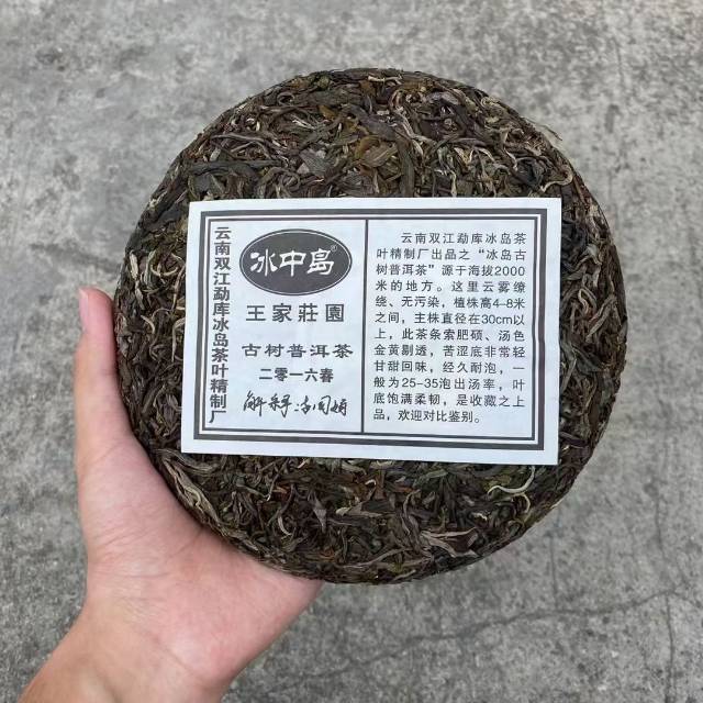 冰岛古树茶配图6