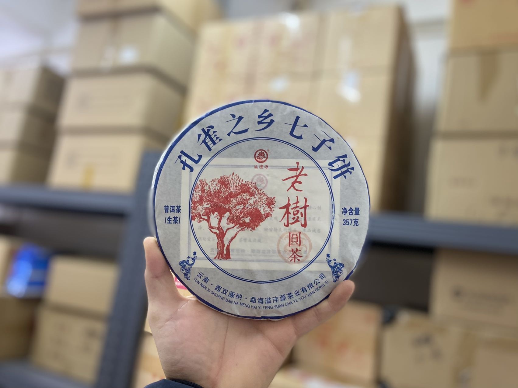 老树圆茶配图1