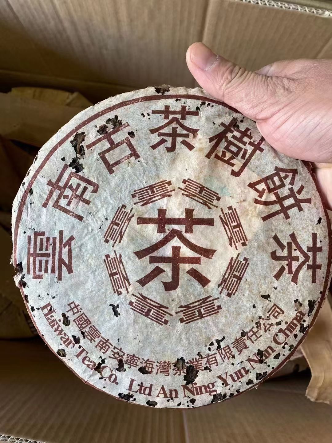99年老茶分享配图3