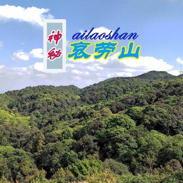 因远兰茶坊品牌标识