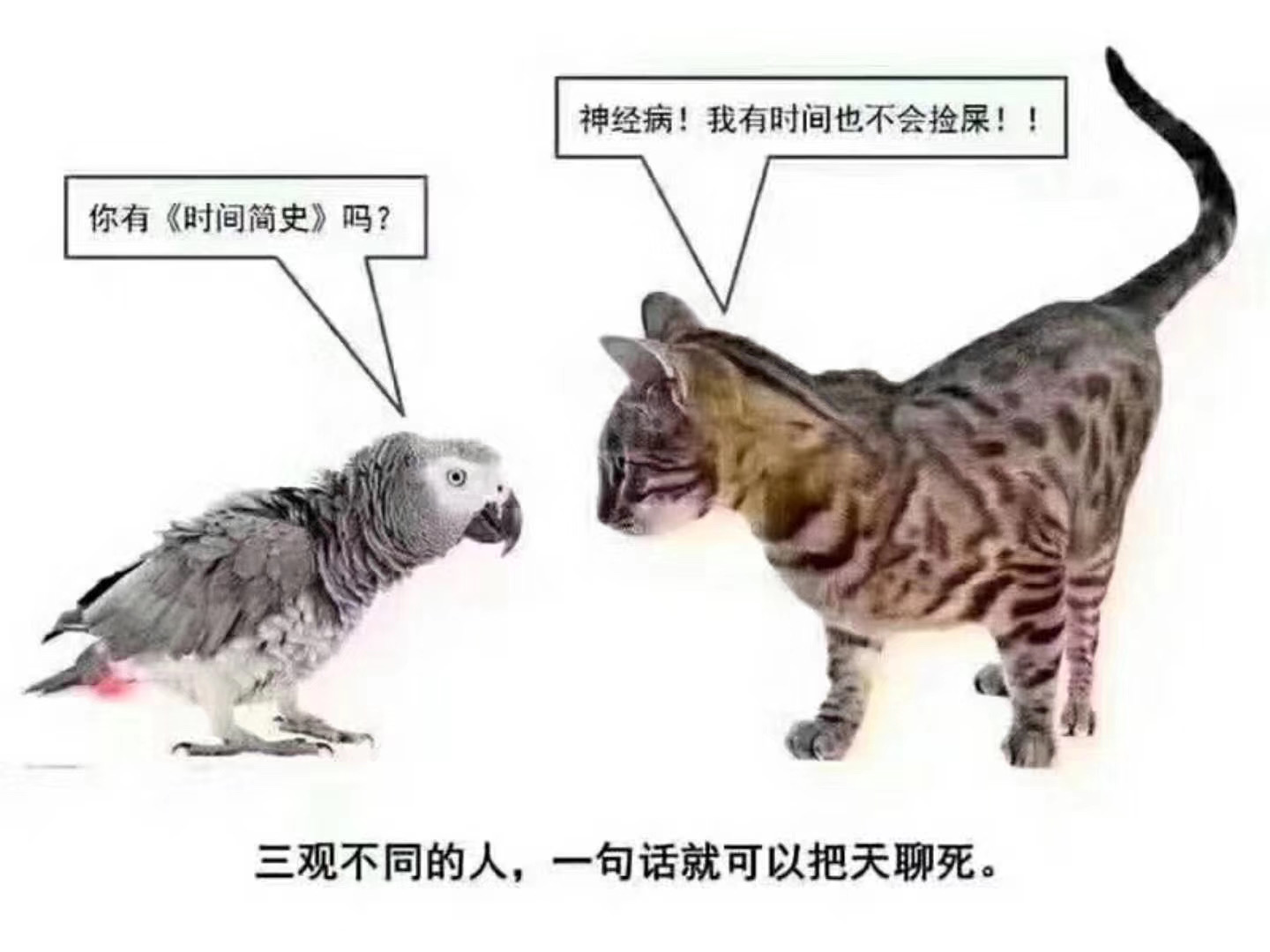 大益~未来的价值~配图1