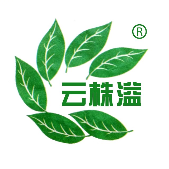 云株溢茶厂品牌标识