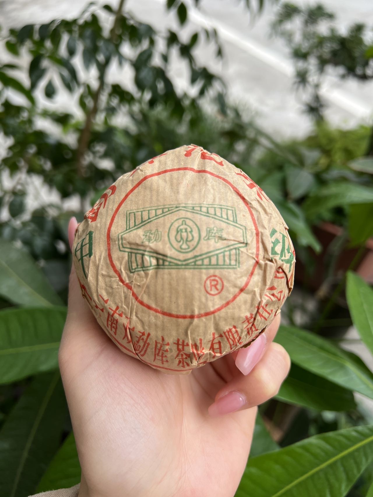 好茶分享配图2