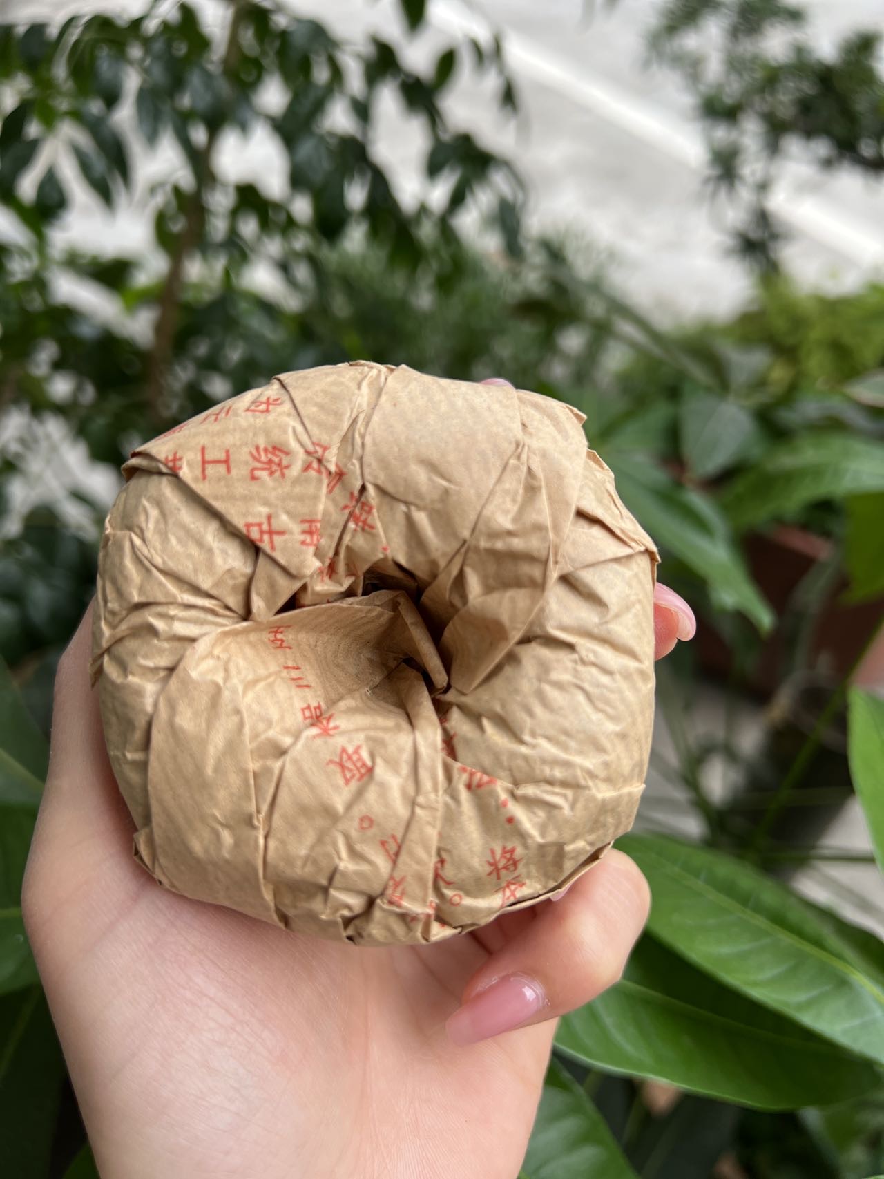 好茶分享配图3