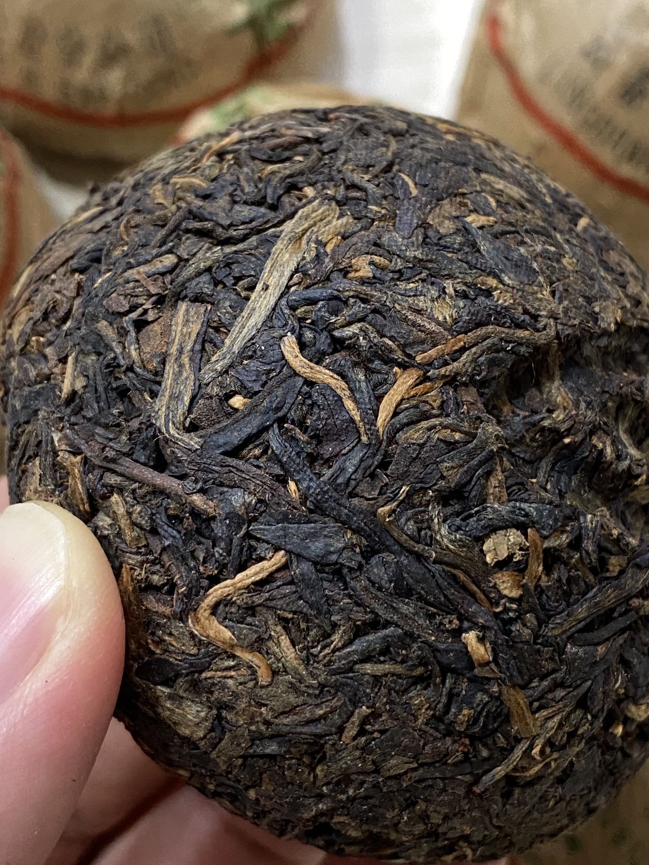 1998年健身牌甲级沱茶、英文版健身沱。配图3