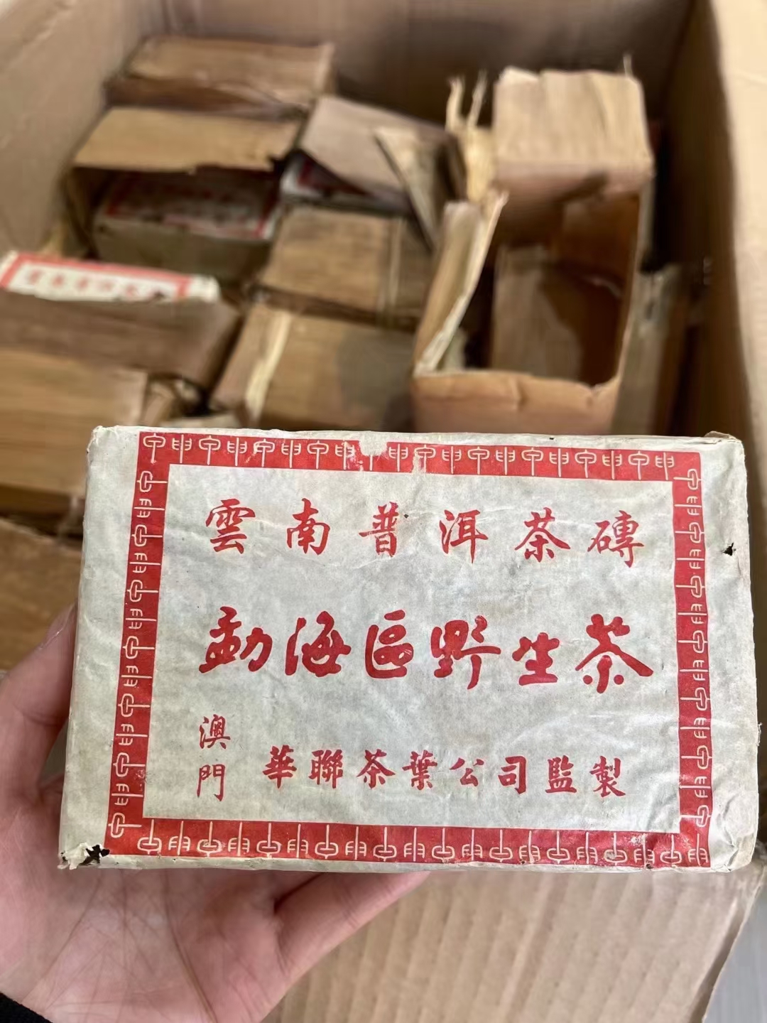 勐海区野生茶配图2