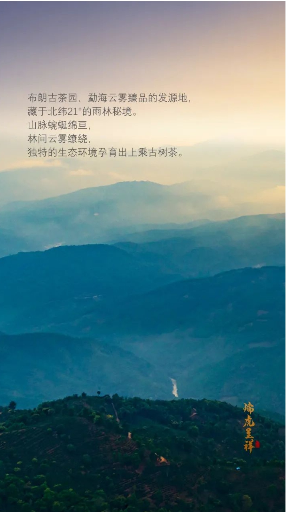 瑞虎呈祥配图2