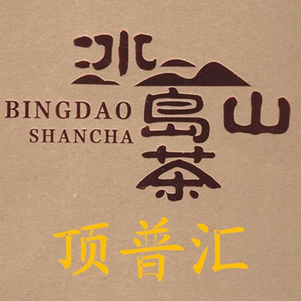 顶普汇品牌标识