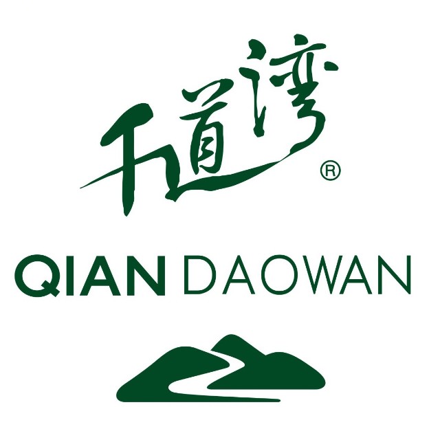 千道湾品牌标识