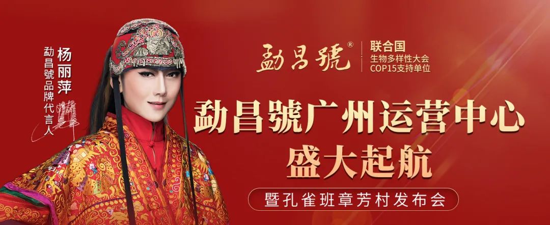 5月28日 大益茶 2201 乔木圆茶现货价格下跌后反弹 / 勐昌號广州运营中心盛大启航暨孔雀班章芳村发布会配图1