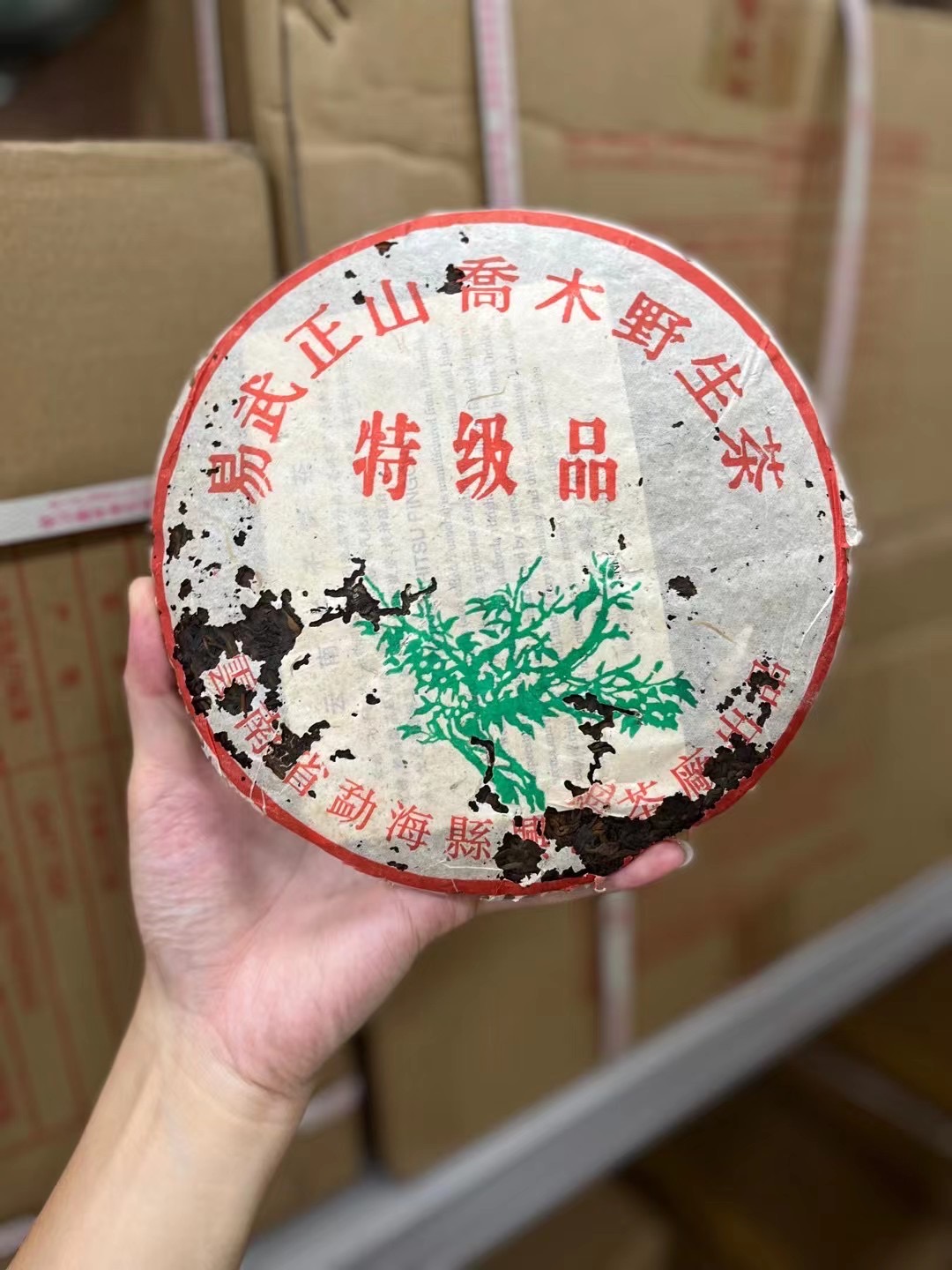 05易武正山乔木野生茶配图5