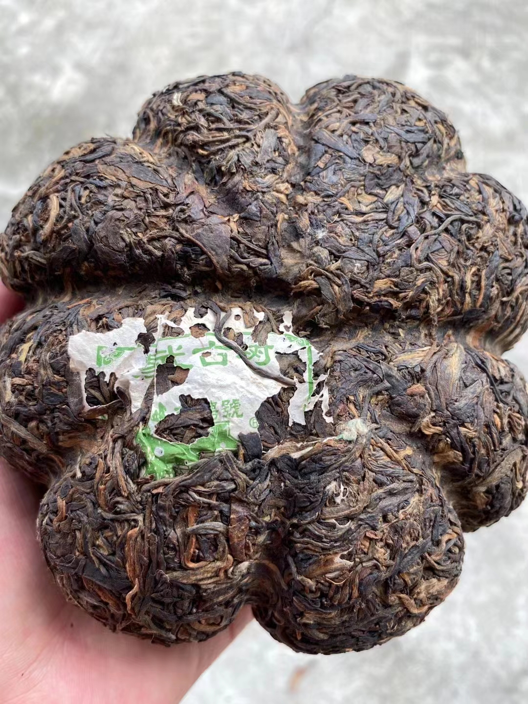 永聘号金瓜沱茶配图1