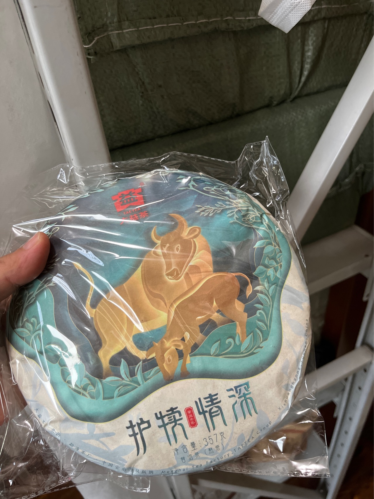 2101 护犊情深封面