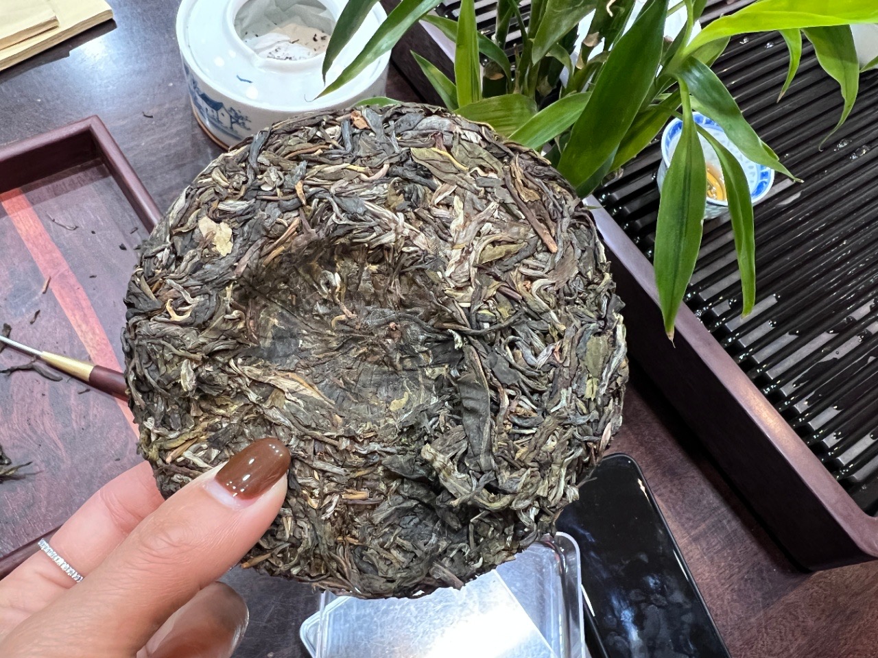 好茶分享17827082248配图5