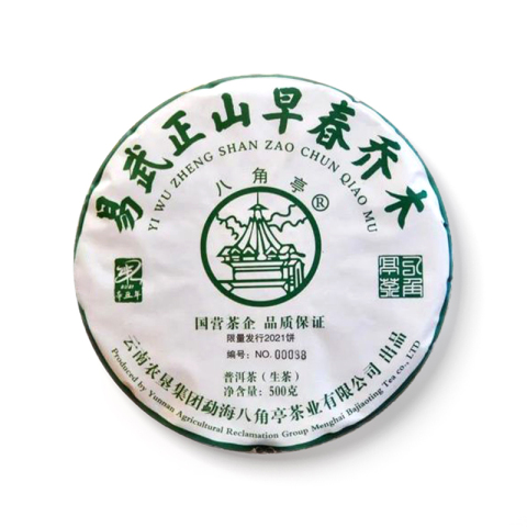 易武正山早春乔木茶品图