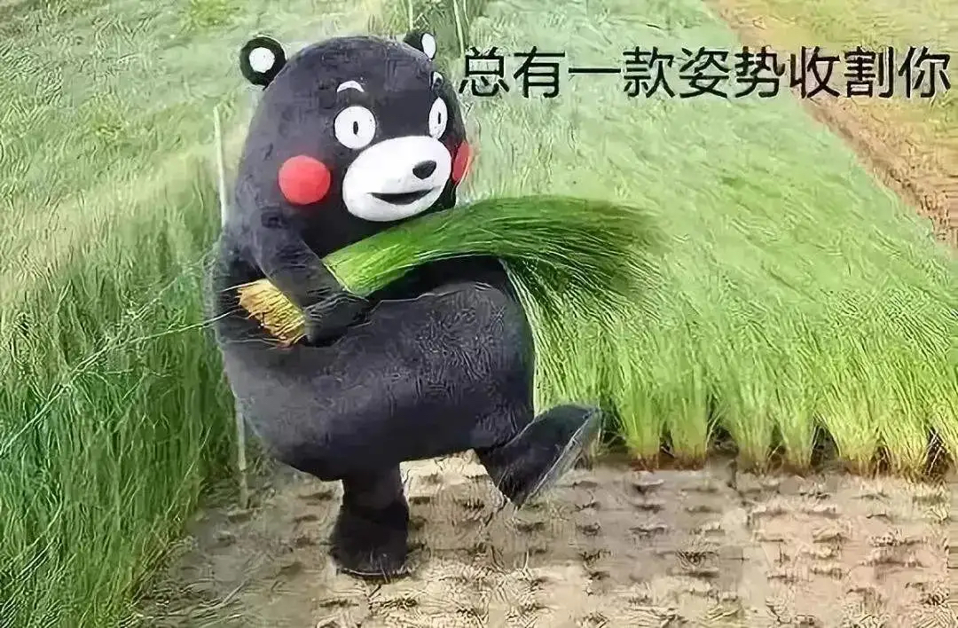 2101金色韵象跳车指南配图2