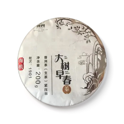 大树早春茶品图