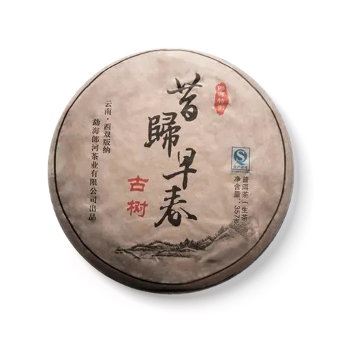 昔归早春茶品图