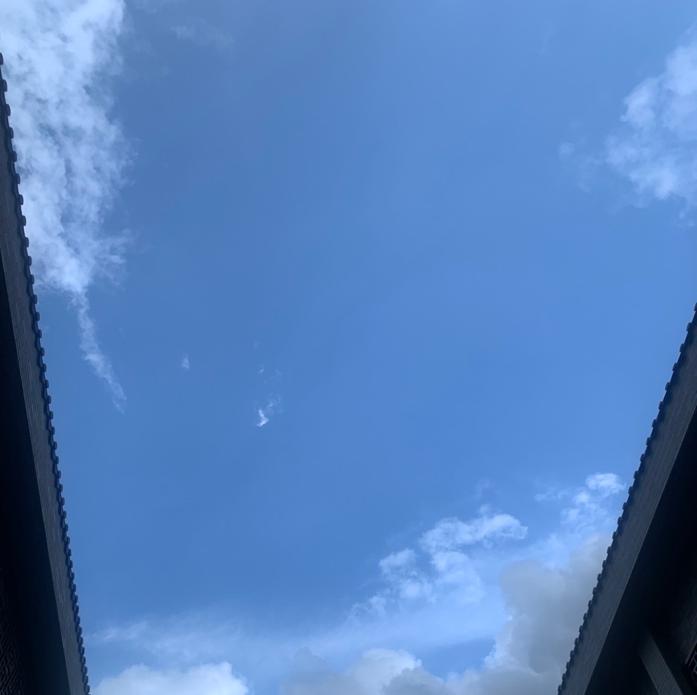 经典可复刻,但可克隆吗?配图1