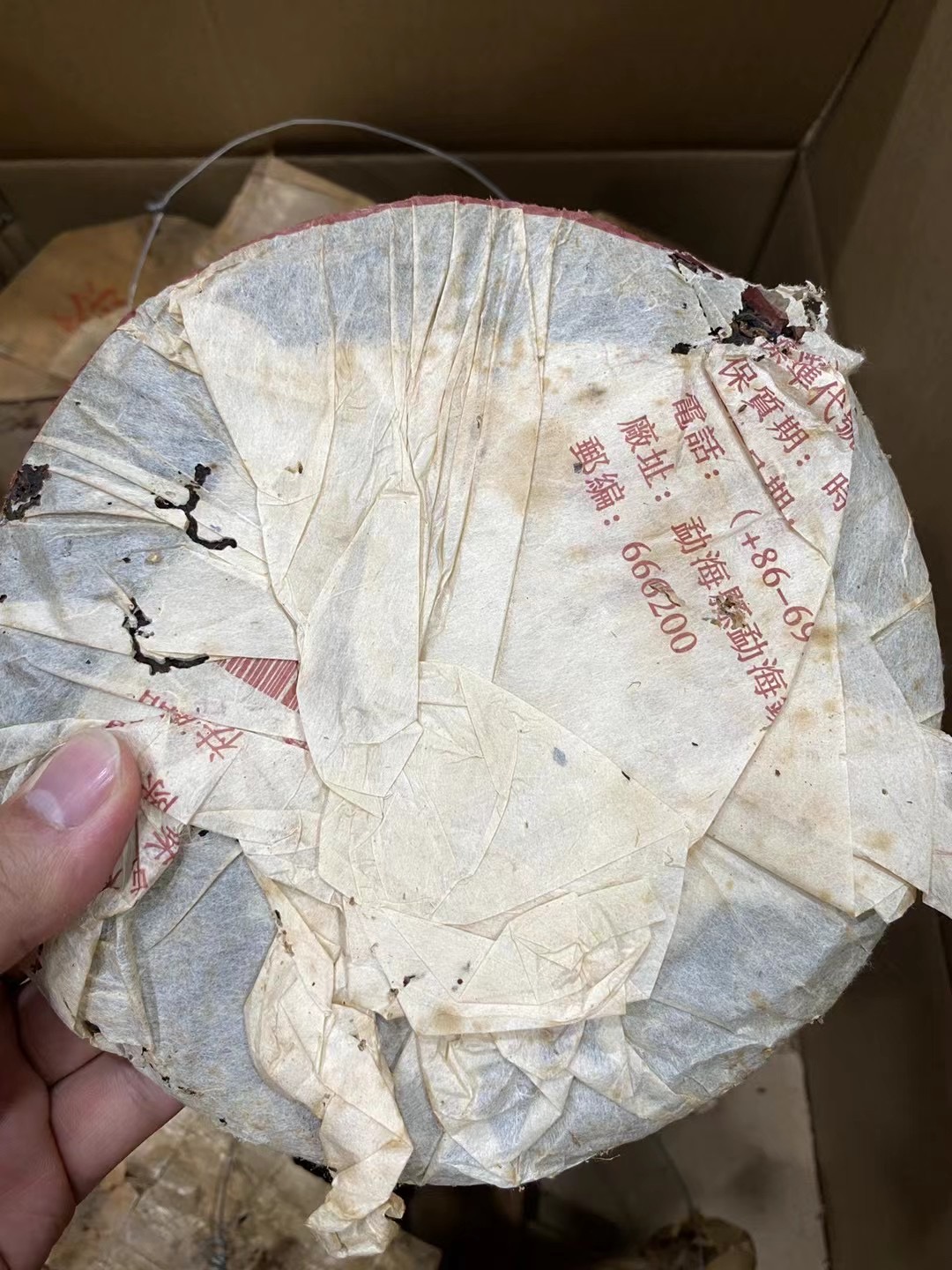 04年兴海易武古树,春料熟配图5